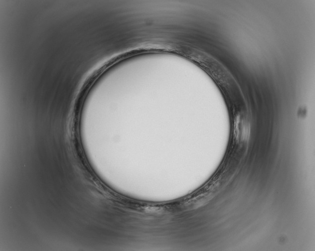 X0000116840388201001081503