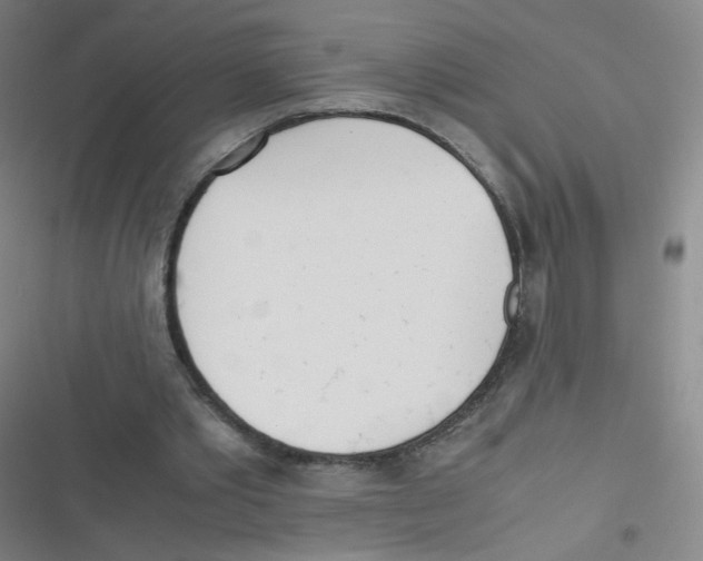 X0000116840389201001081503