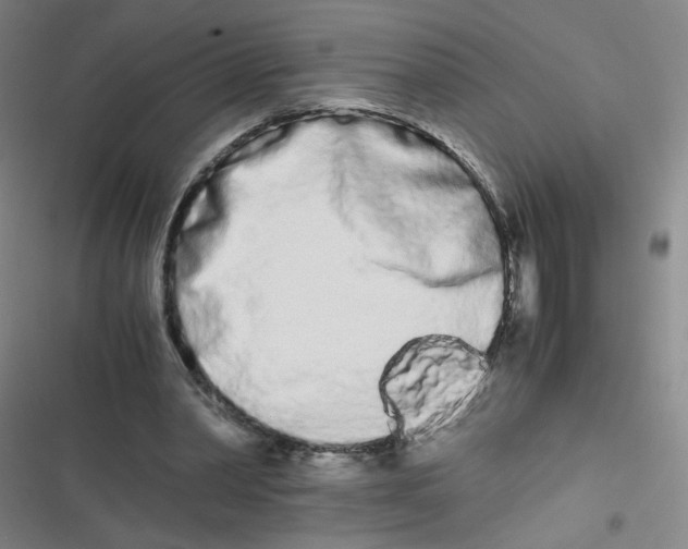 X0000116840390201001081503