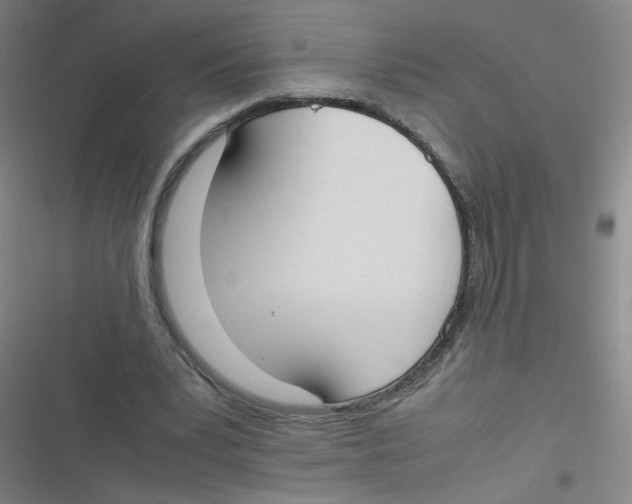 X0000116840391201001081503