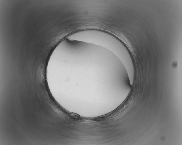 X0000116840393201001081503