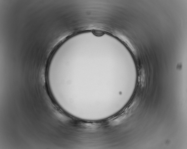 X0000116840394201001081503