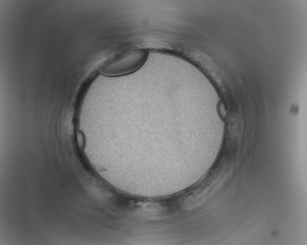 X0000116840395201001081503