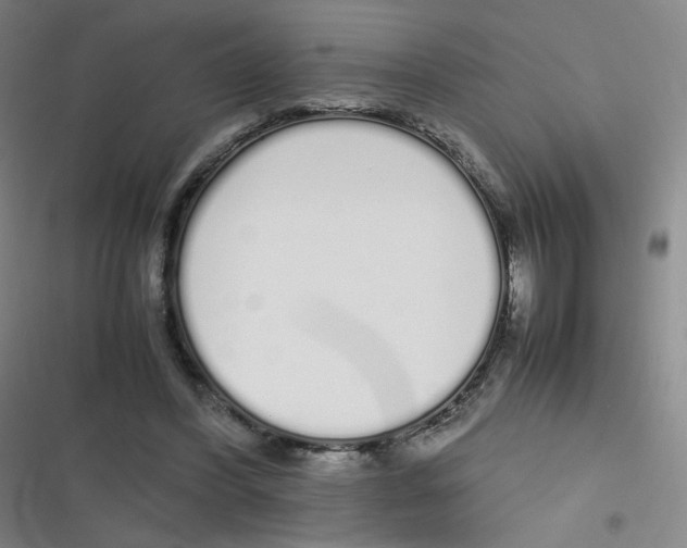 X0000116840396201001081503