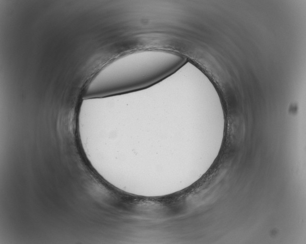 X0000116840397201001081503