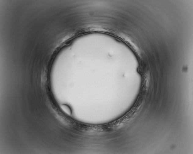 X0000116840398201001081503