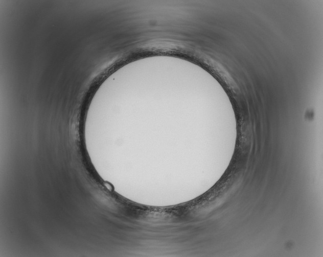 X0000116840399201001081503