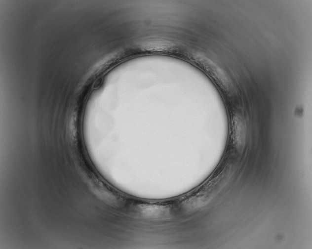 X0000116840400201001081503