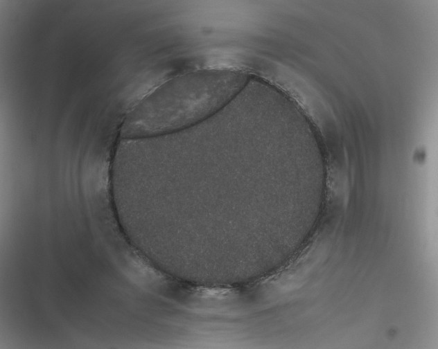 X0000116840401201001081503