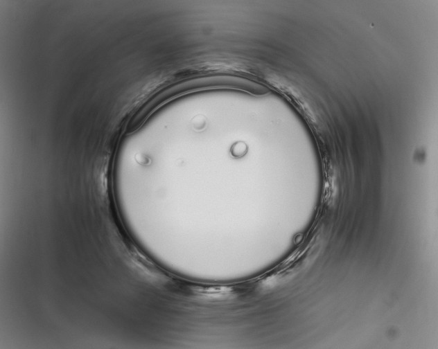 X0000116840402201001081503