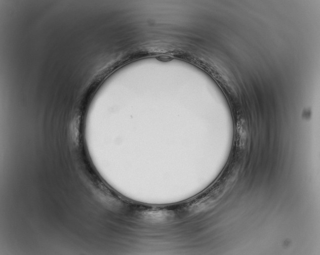 X0000116840404201001081503