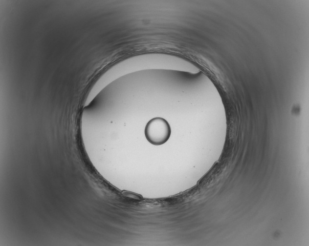 X0000116840405201001081503