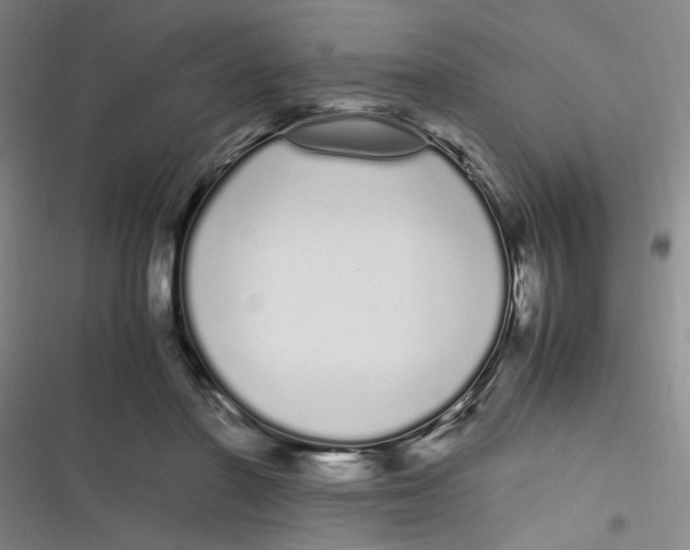 X0000116840406201001081503