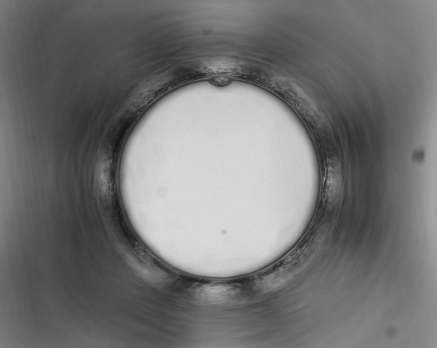 X0000116840408201001081503