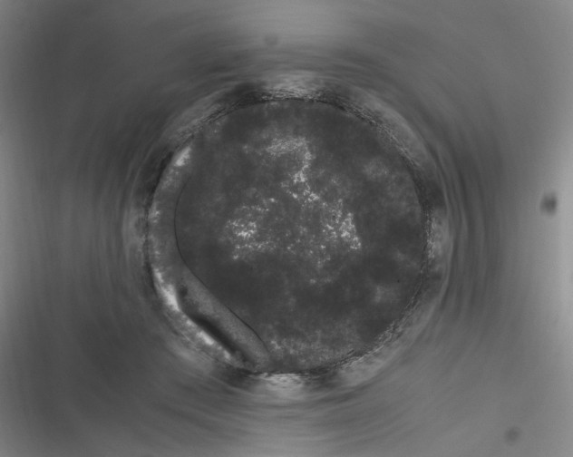 X0000116840409201001081503