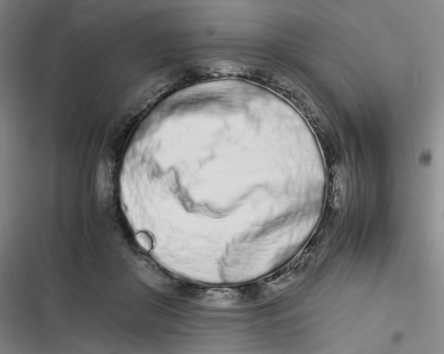 X0000116840410201001081503