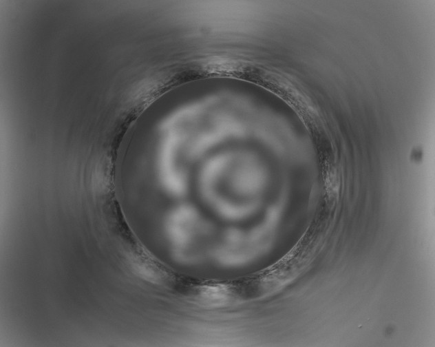 X0000116840411201001081503