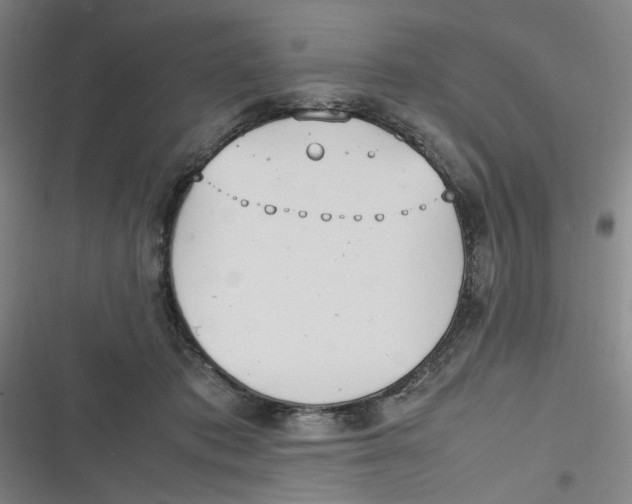 X0000116840413201001081503