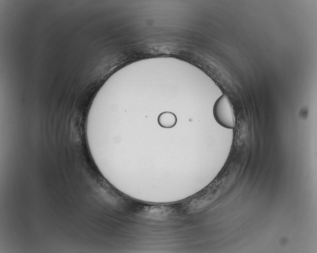 X0000116840414201001081503