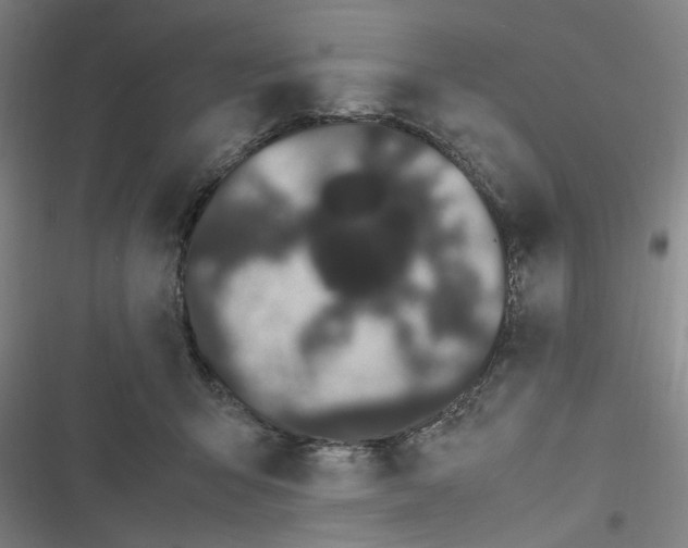 X0000116840415201001081503