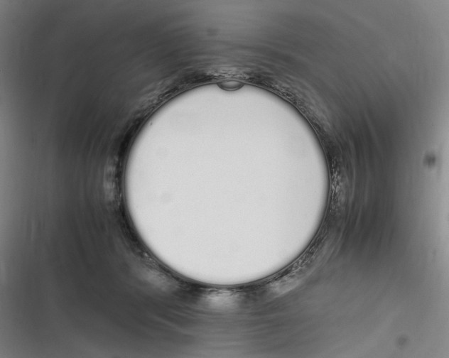 X0000116840416201001081503