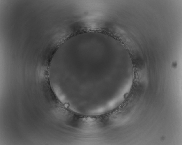 X0000116840419201001081502