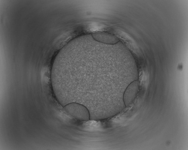 X0000116840421201001081502