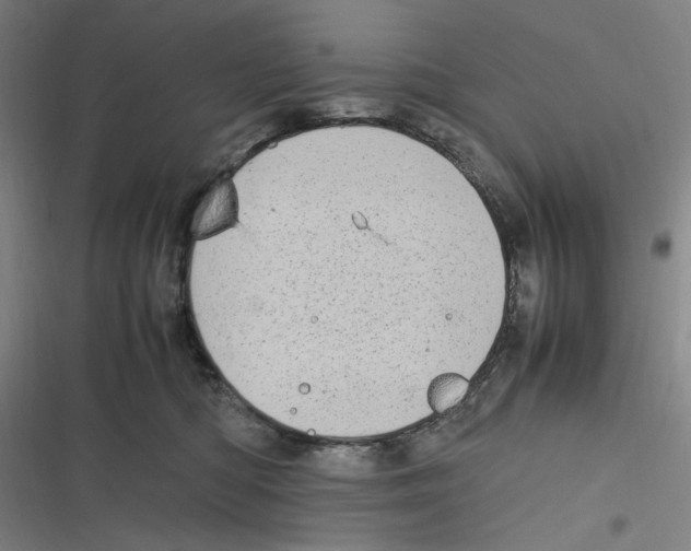 X0000116840422201001081502