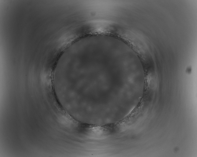 X0000116840423201001081502