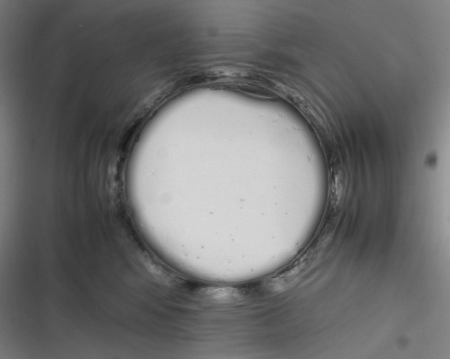 X0000116840424201001081502