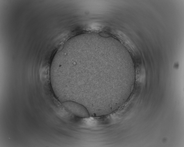 X0000116840425201001081502