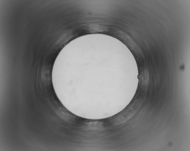 X0000116840426201001081502