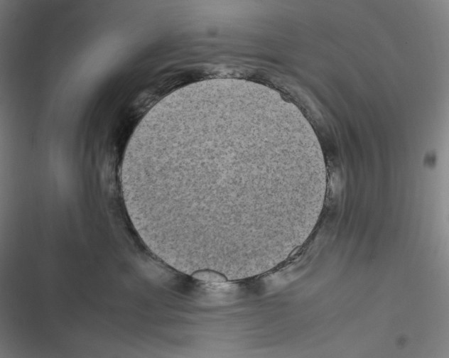 X0000116840429201001081502