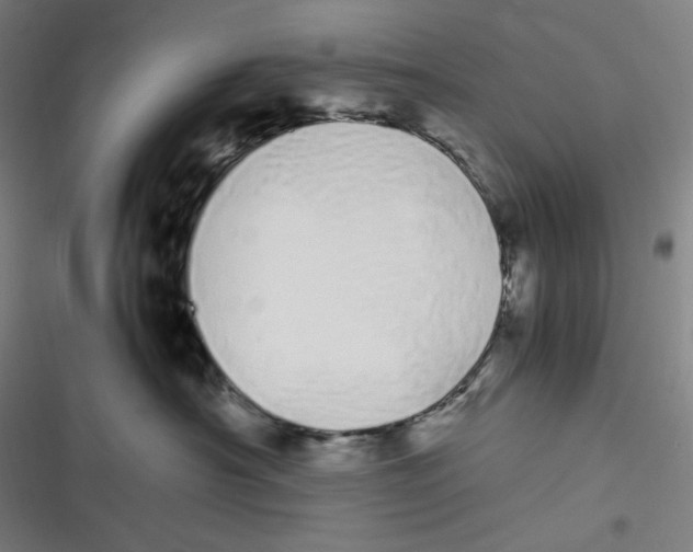 X0000116840430201001081502