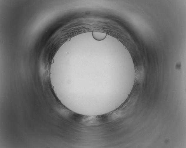 X0000116840431201001081502