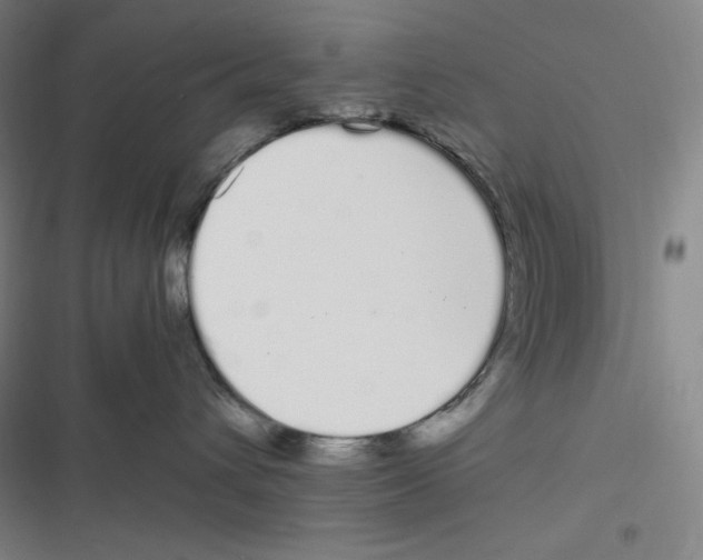 X0000116840432201001081502