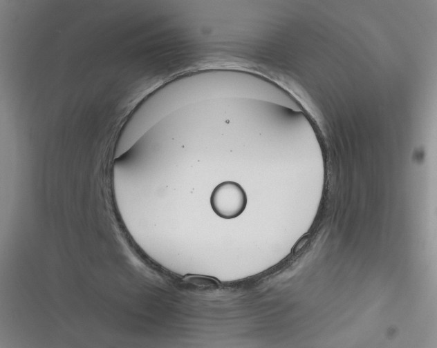 X0000116840433201001081502