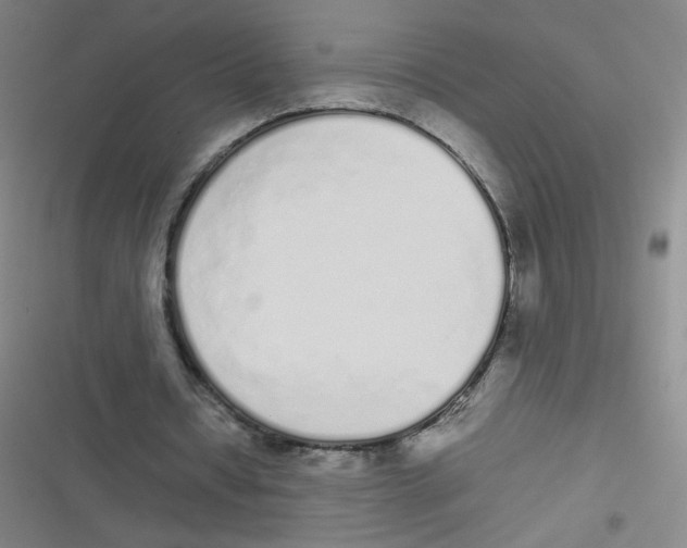 X0000116840434201001081502