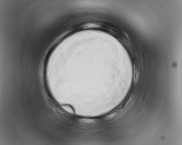 X0000116840435201001081502