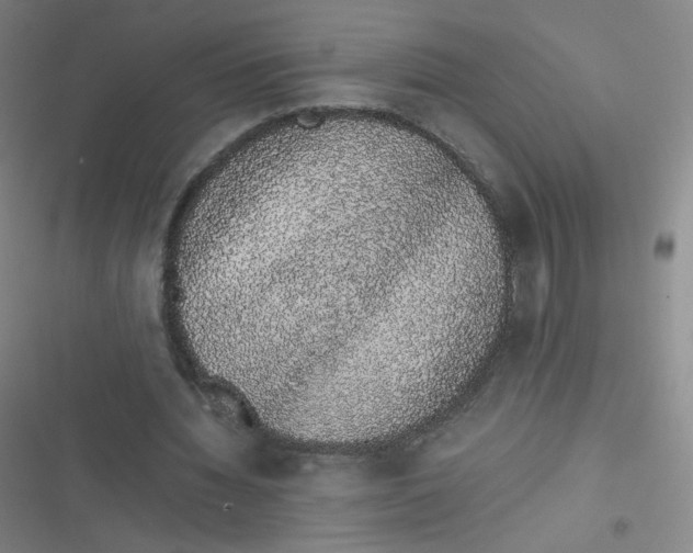 X0000116840436201001081502