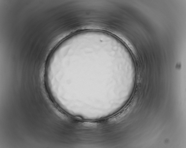 X0000116840437201001081502