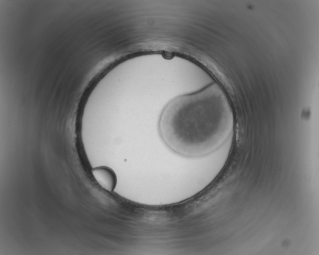 X0000116840438201001081502