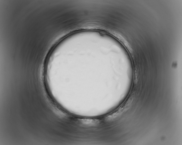 X0000116840439201001081502