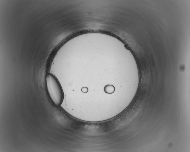 X0000116840440201001081502