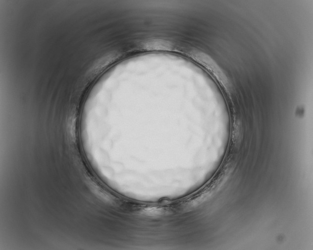 X0000116840441201001081502