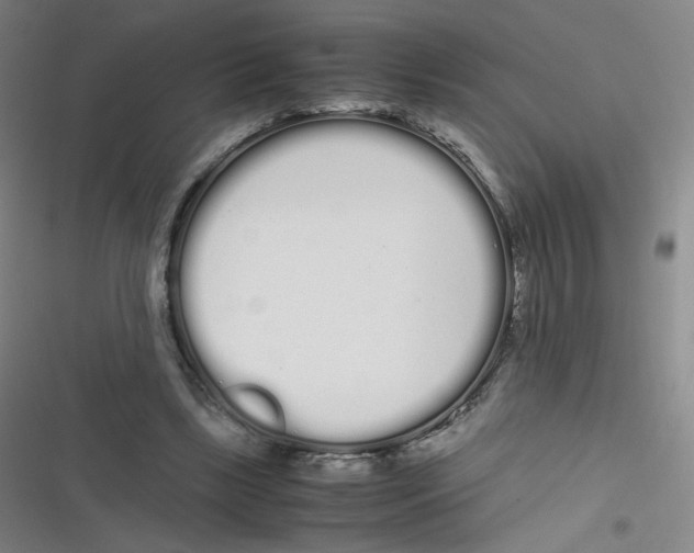 X0000116840443201001081502