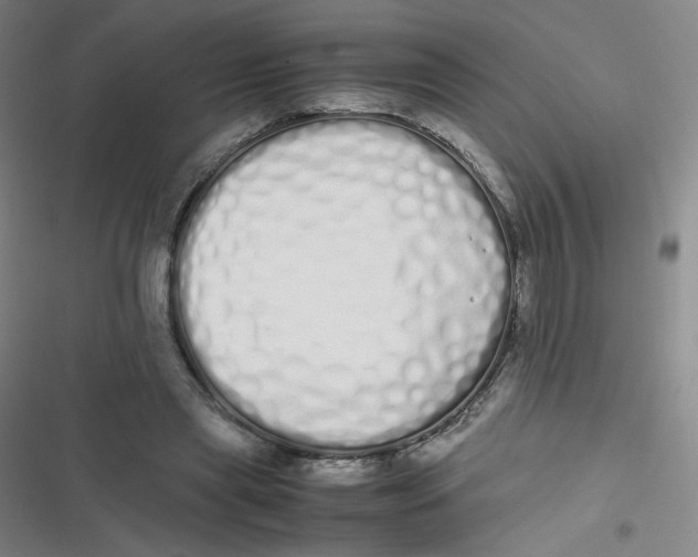 X0000116840445201001081502