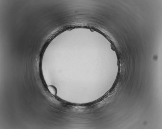 X0000116840446201001081502