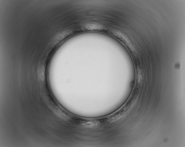 X0000116840447201001081502