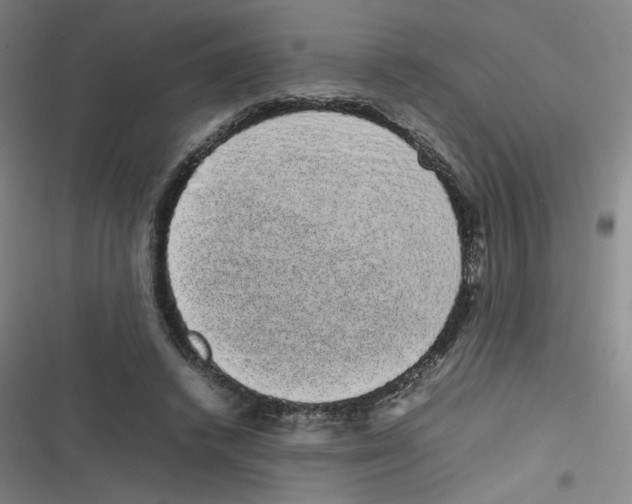 X0000116840448201001081502